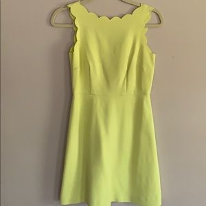 Like new Loft scalloped neck dress